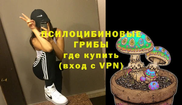 дурь Абаза